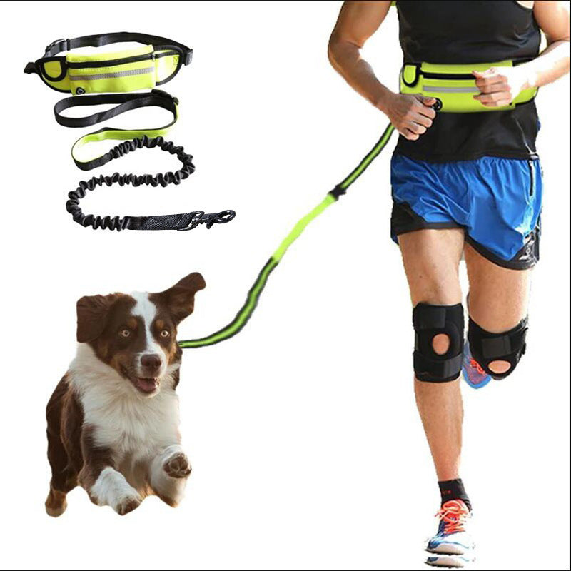 Jog With Your Dog - Fabulously Comfortable Hands Free Dog Leash - Best Bark Bargains